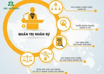 vị trí quản trị nhân sự