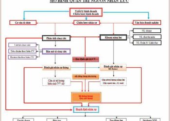 xây dựng hệ thống quản trị nhân sự